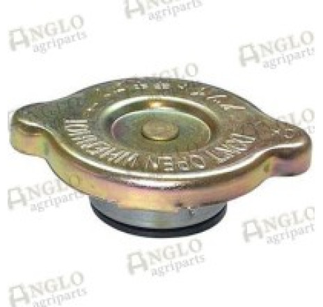 Buson radiator Ford, 4988491 Buson radiator Ford, 4988491