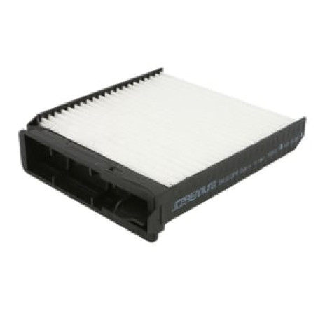 Filtru polen Dacia, 7701062227 Filtru polen Dacia, 7701062227